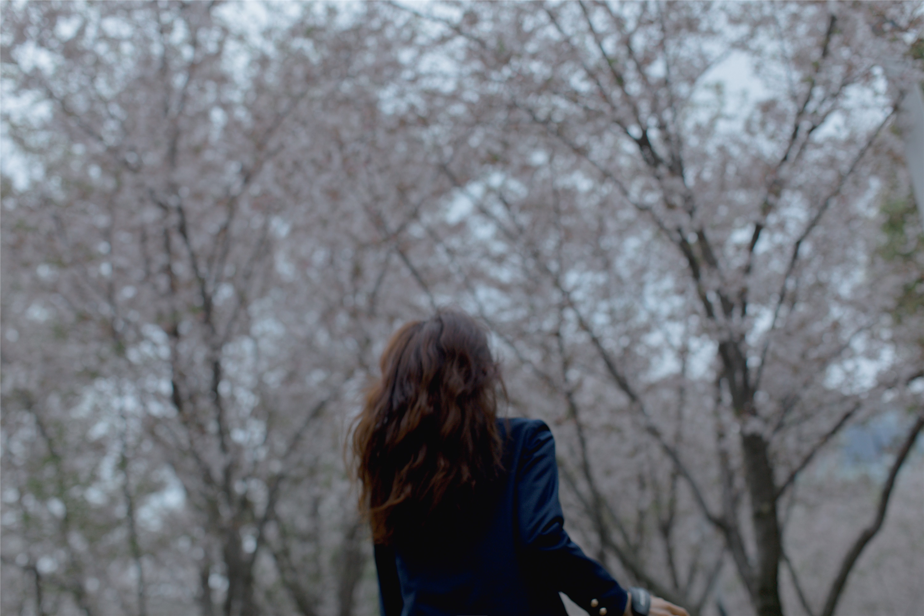 YITUYU艺图语 2021.09.02 樱花渐落 汤兮兮